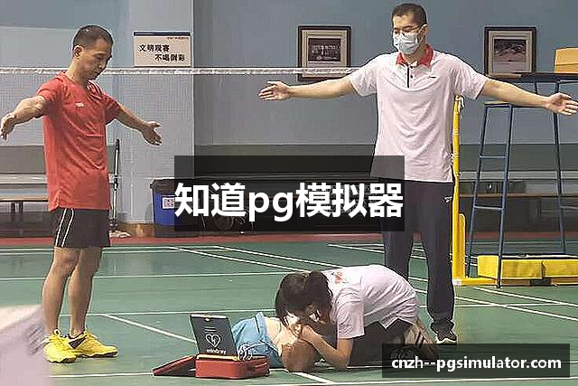 知道pg模拟器